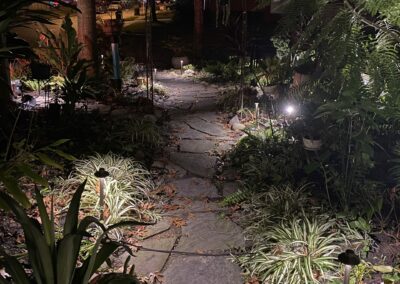 Backyard path lighting