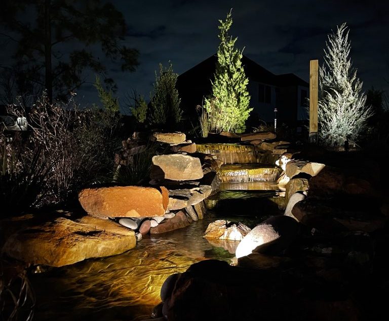 Captivating Flood and Accent Lighting Effects AM Garden