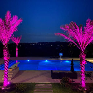 Express Yourself with Outdoor Color Changing LED Lighting