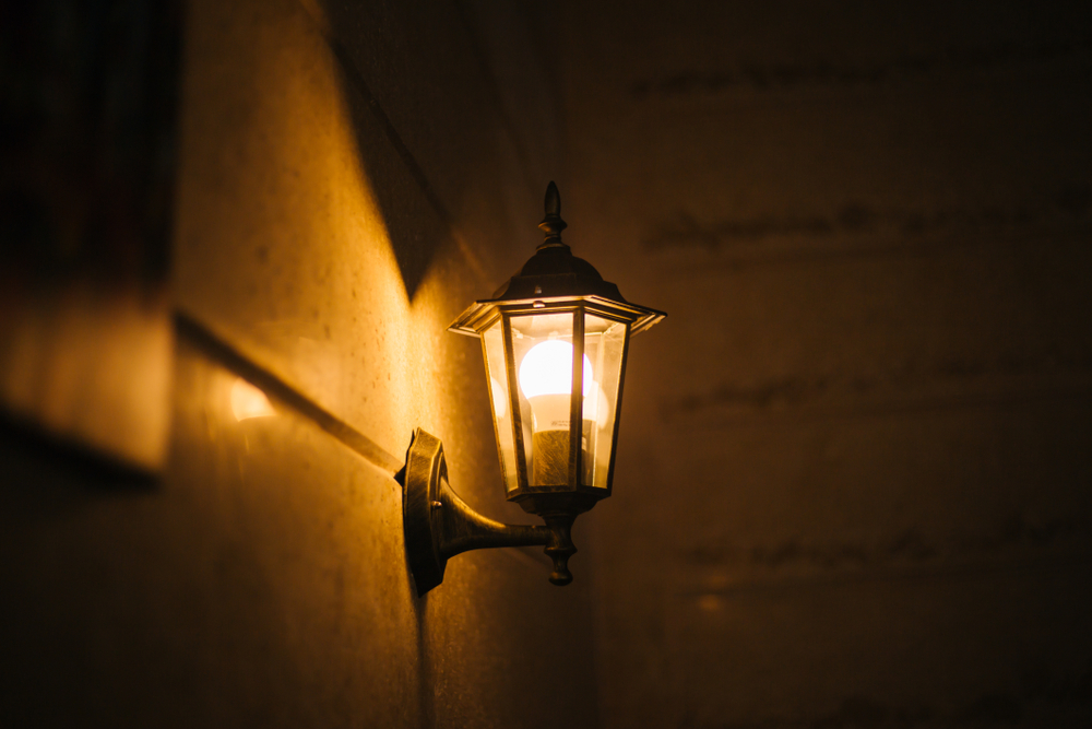 Why Should You Choose a Professional Outdoor Lighting Company?